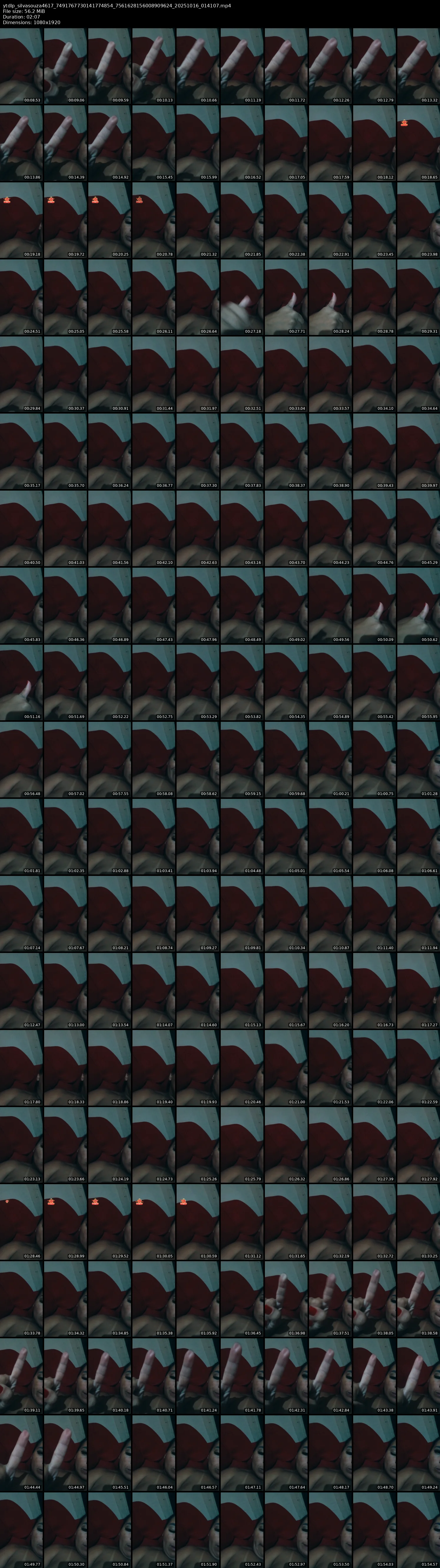 grid_ytdlp_silvasouza4617_7491767730141774854_7561628156008909624_20251016_014107.mp4.webp