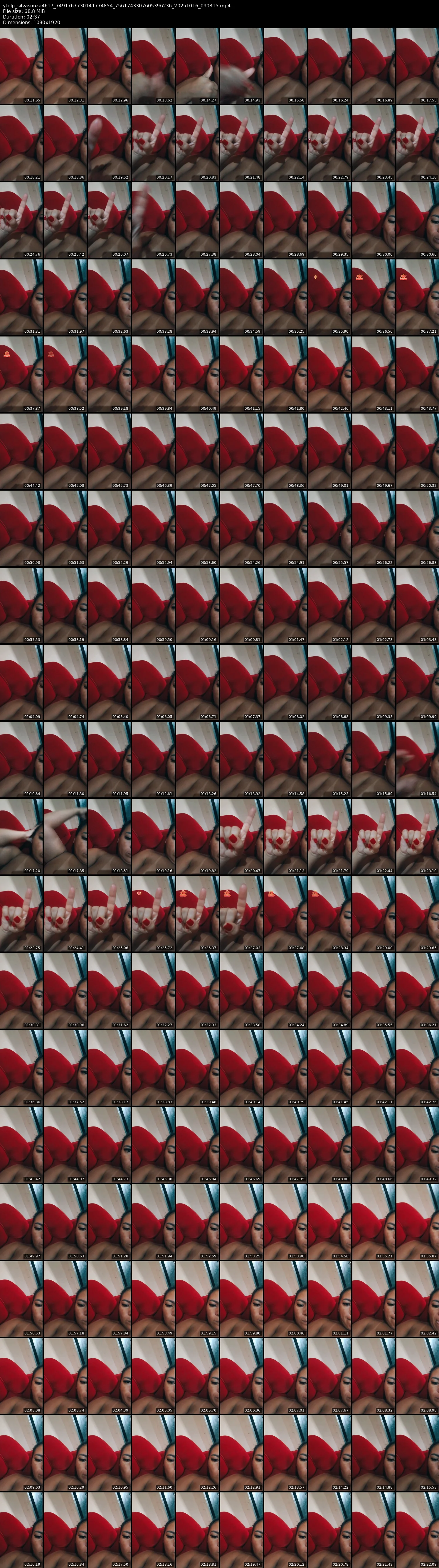 grid_ytdlp_silvasouza4617_7491767730141774854_7561743307605396236_20251016_090815.mp4.webp