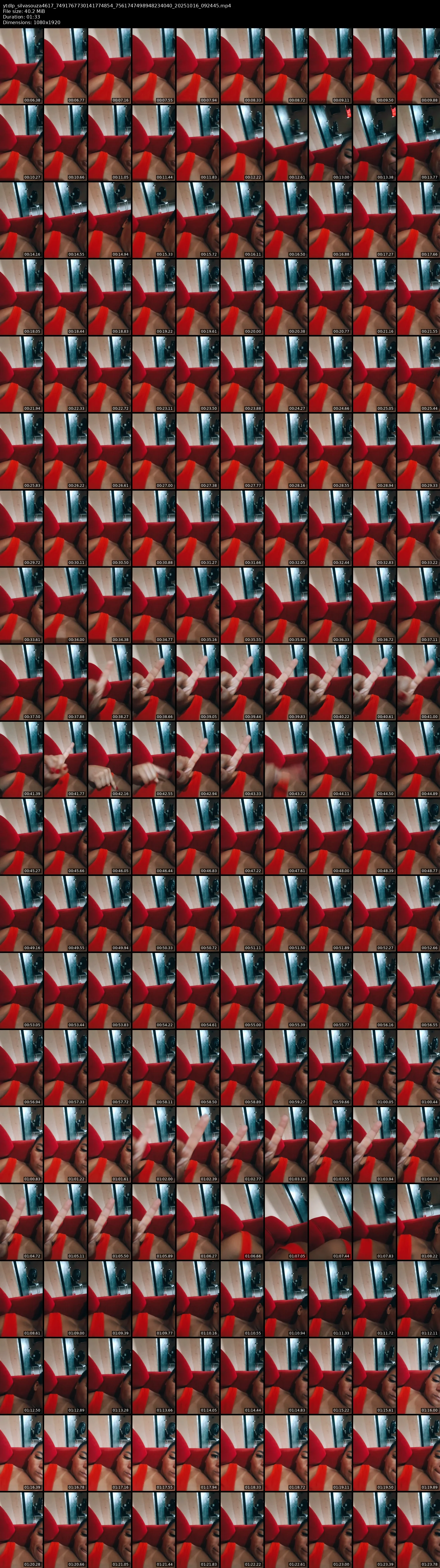 grid_ytdlp_silvasouza4617_7491767730141774854_7561747498948234040_20251016_092445.mp4.webp