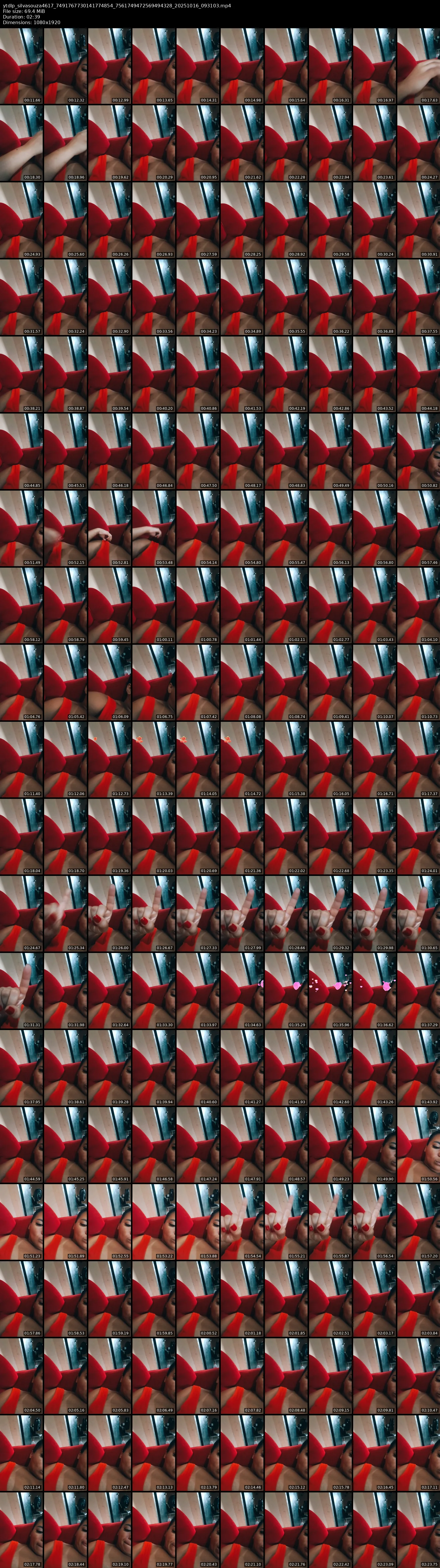 grid_ytdlp_silvasouza4617_7491767730141774854_7561749472569494328_20251016_093103.mp4.webp