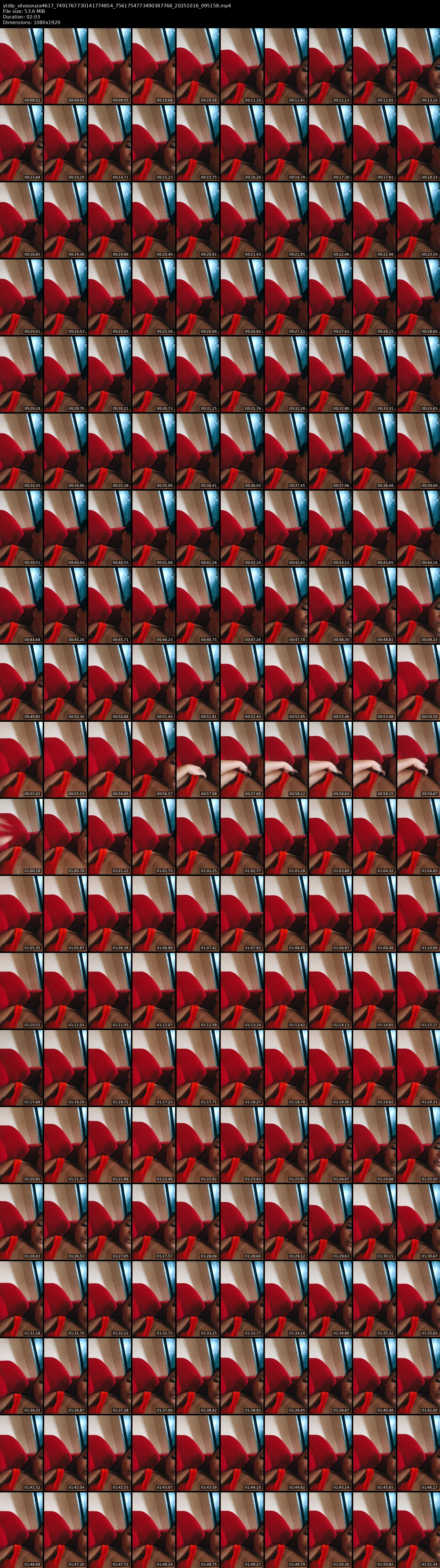 grid_ytdlp_silvasouza4617_7491767730141774854_7561754773490387768_20251016_095158.mp4.webp