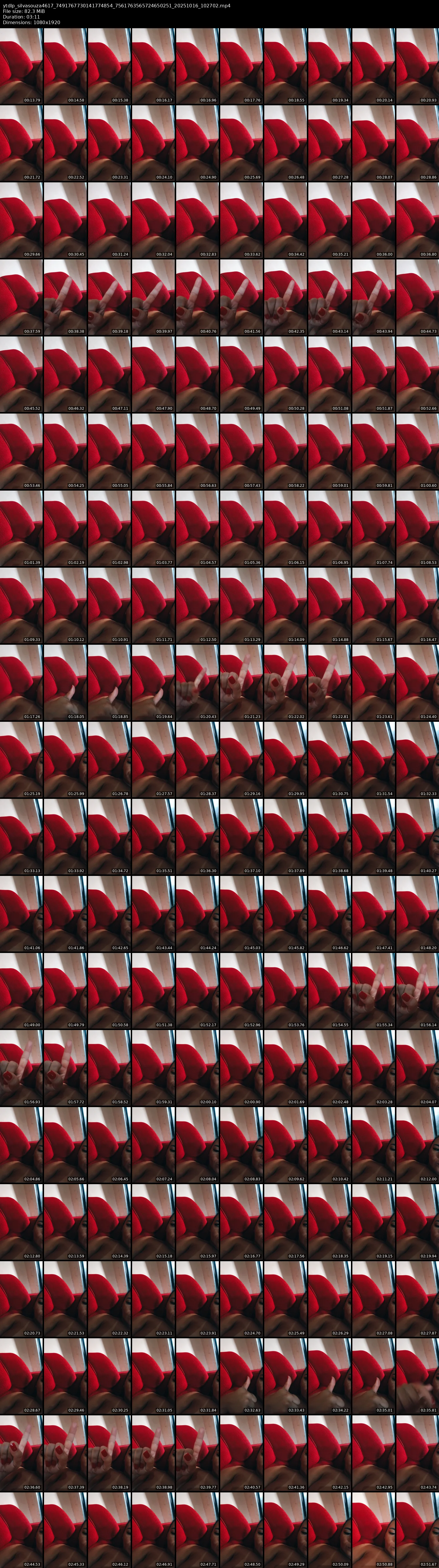 grid_ytdlp_silvasouza4617_7491767730141774854_7561763565724650251_20251016_102702.mp4.webp