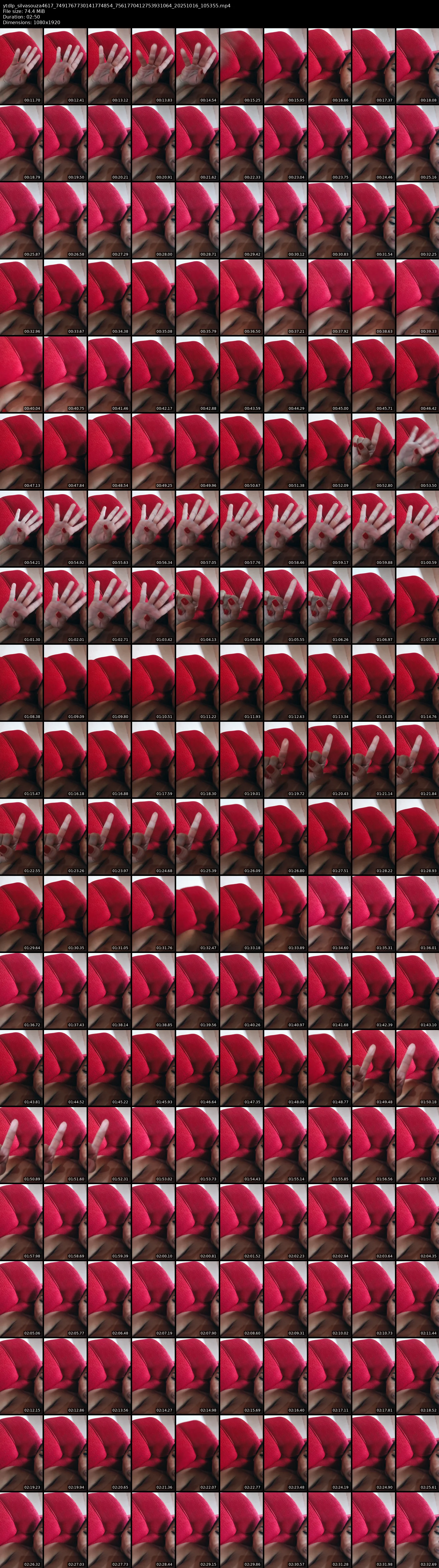 grid_ytdlp_silvasouza4617_7491767730141774854_7561770412753931064_20251016_105355.mp4.webp