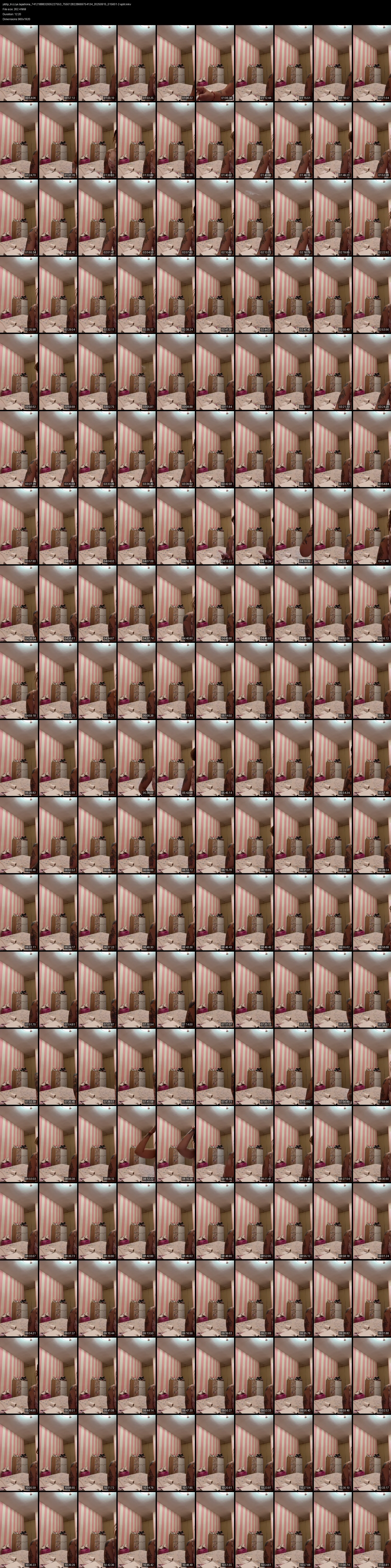 grid_ytdlp_trizzye.lapatrona_7412188832005227553_7550128228669754134_20250915_015601-2-split.mkv.webp