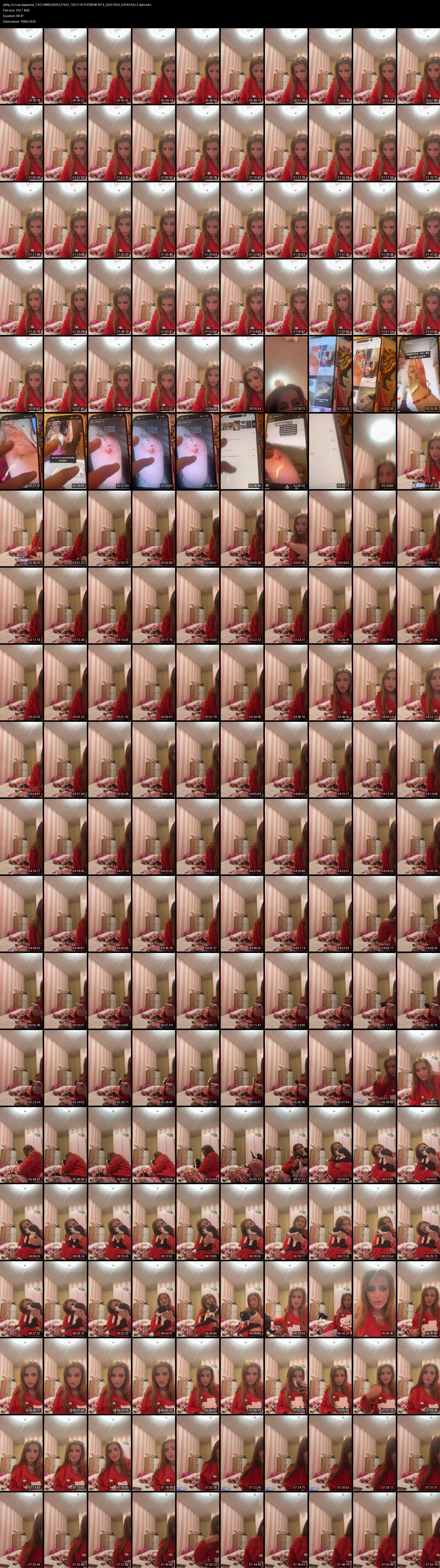 grid_ytdlp_trizzye.lapatrona_7412188832005227553_7557216154788481814_20251004_041934.fix-2-split.mkv.webp