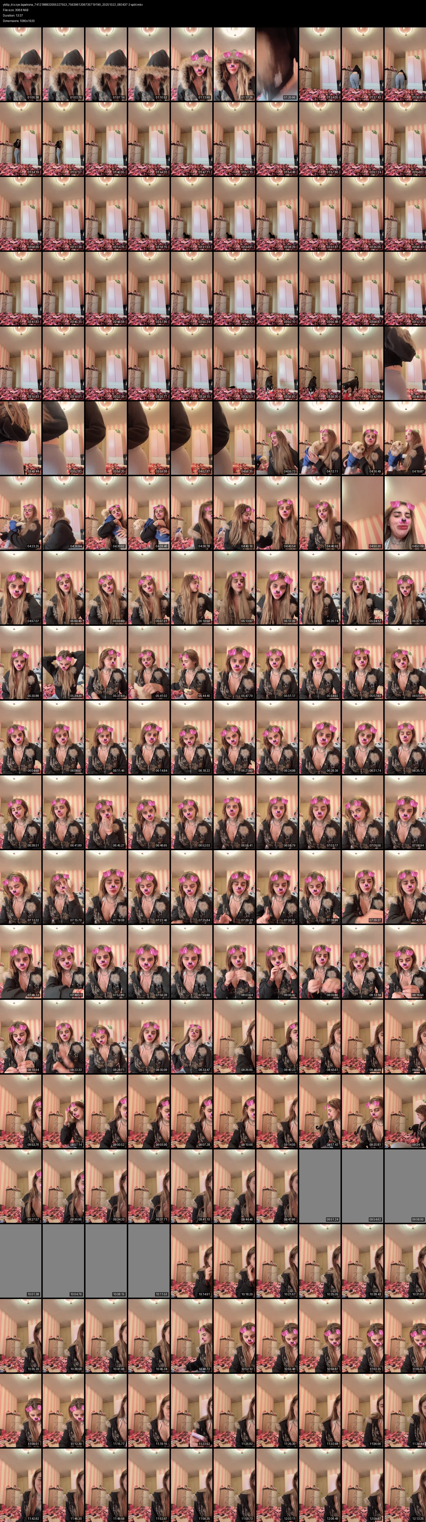 grid_ytdlp_trizzye.lapatrona_7412188832005227553_7563961206735719190_20251022_083437-2-split.mkv.webp