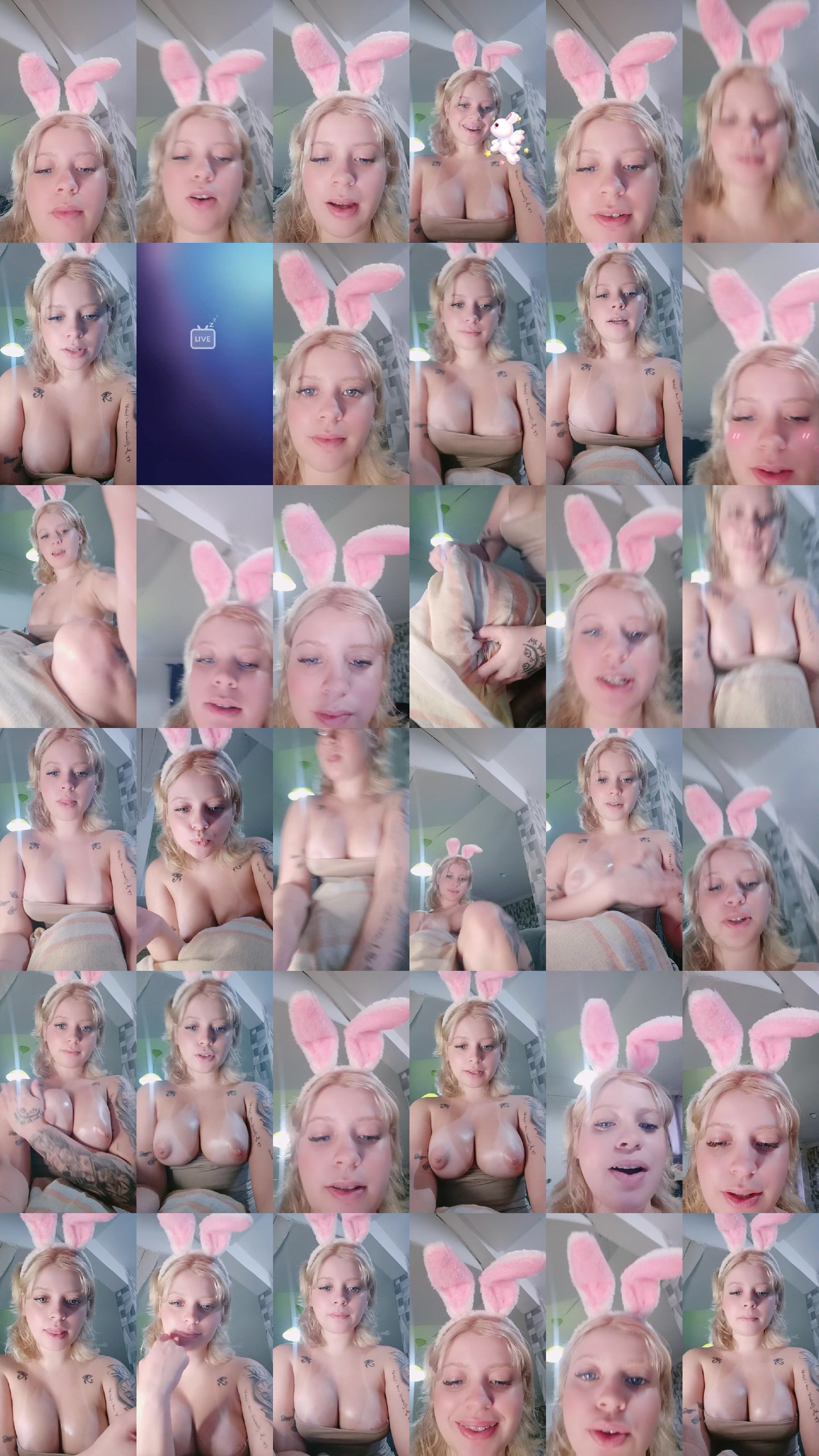 23987984.jpg