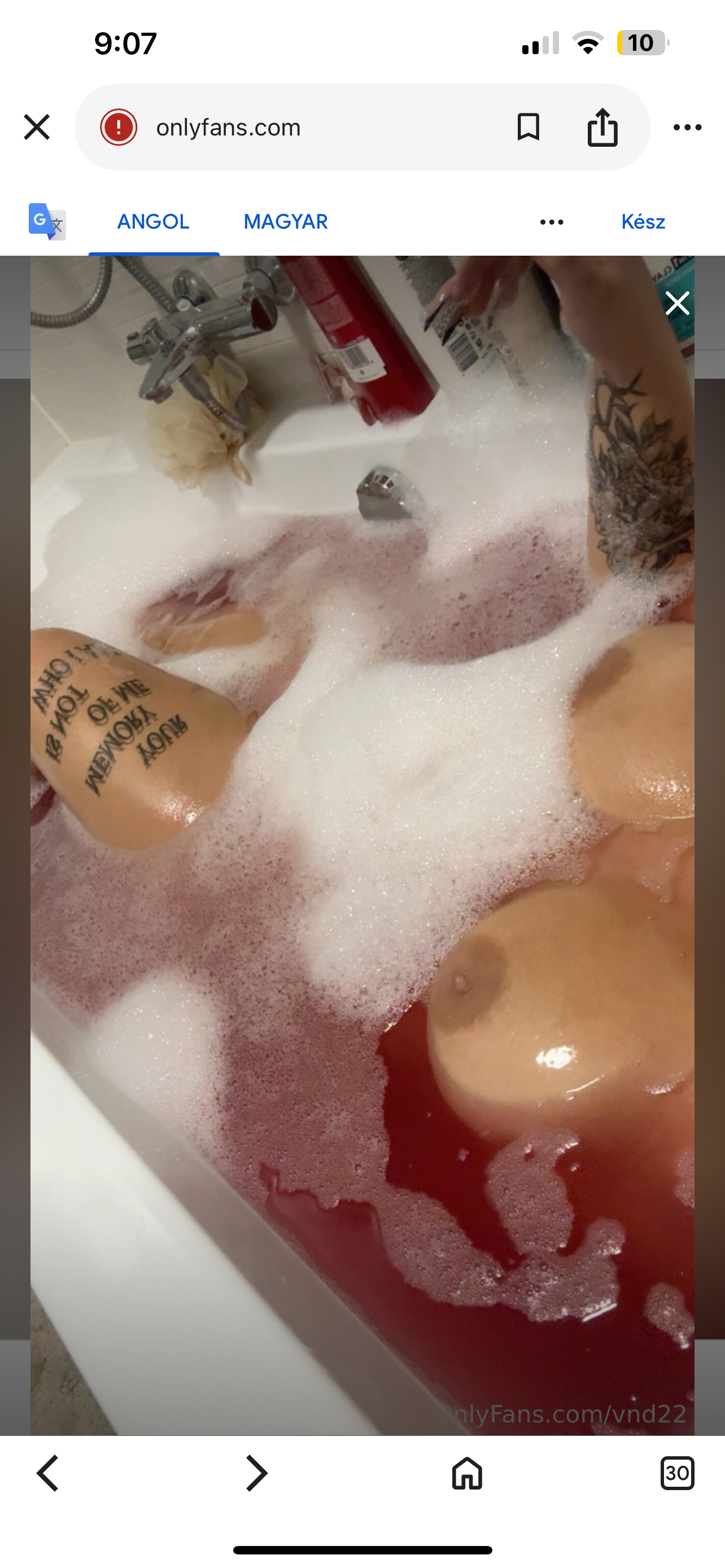 IMG_1255.png