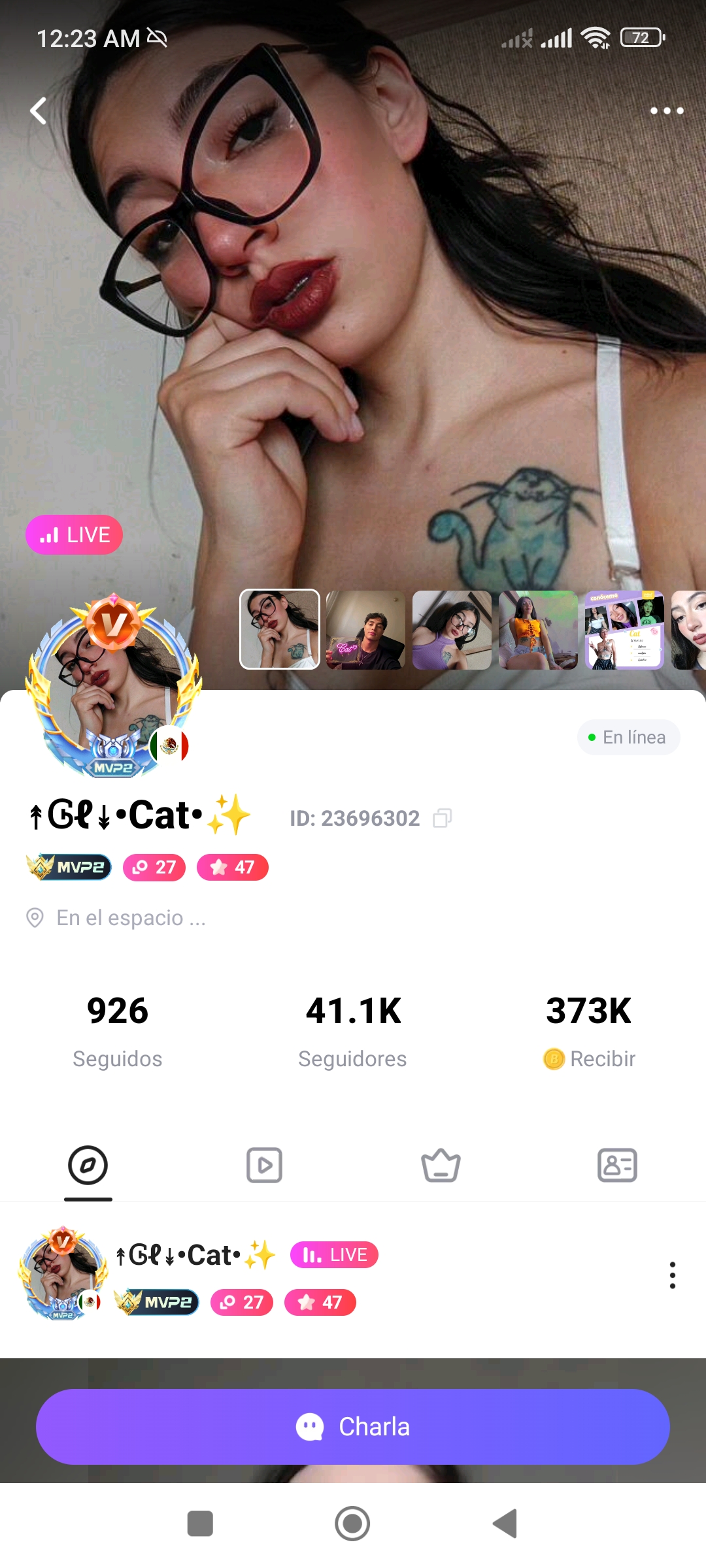 Cat ID: 23696302