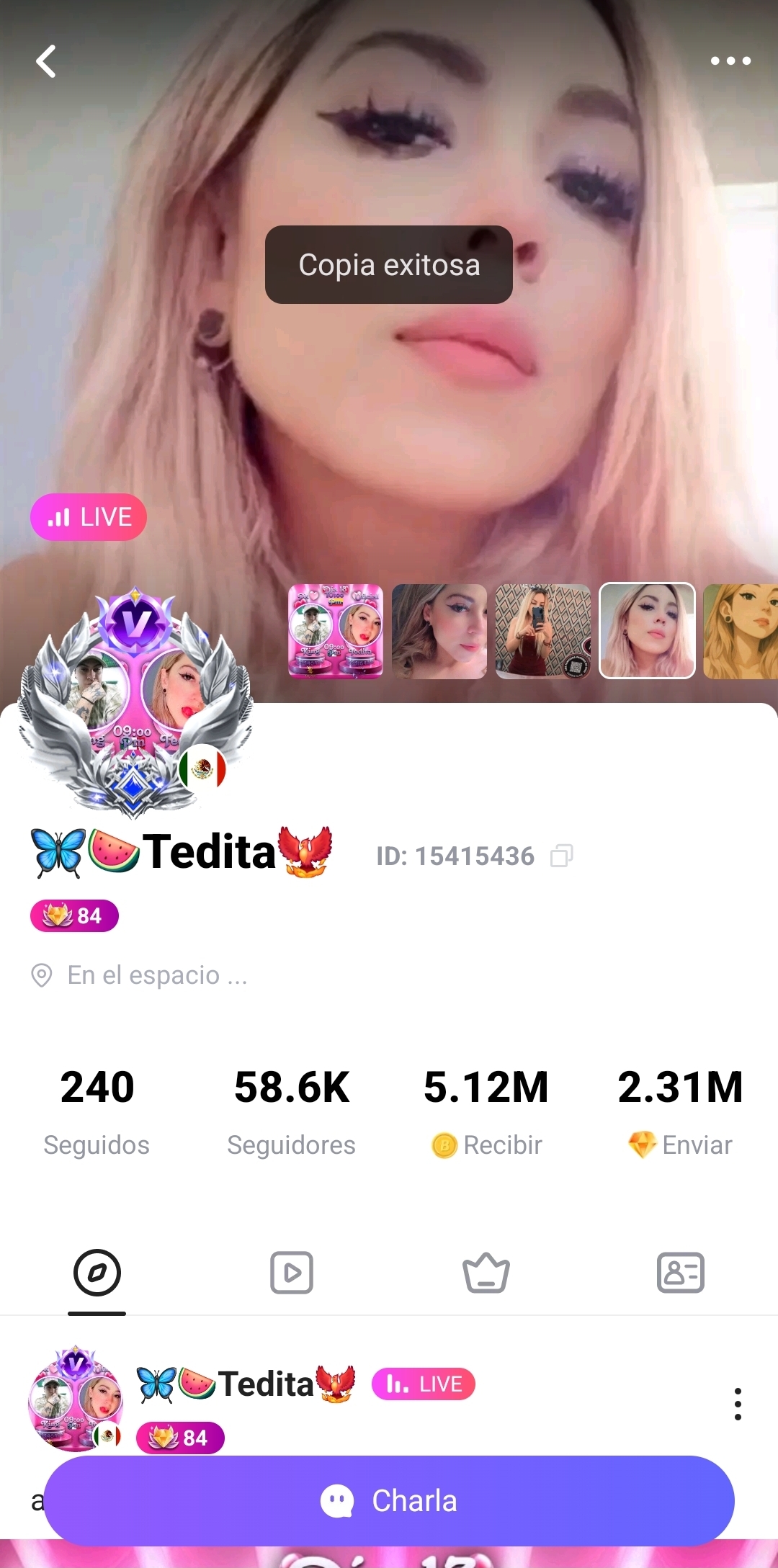 15415436 Tedita