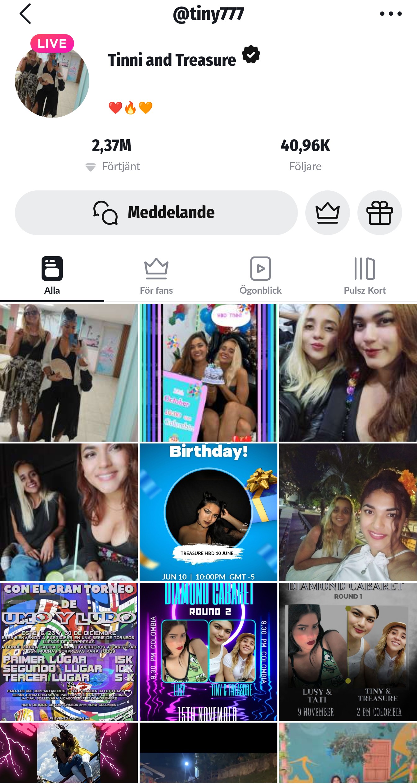 Tinni and treasure tiny777