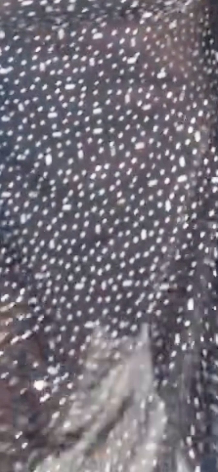 Screenshot_20260327-103256_Video Player.jpg