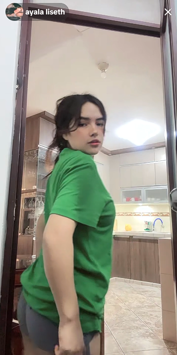 Shot040.png