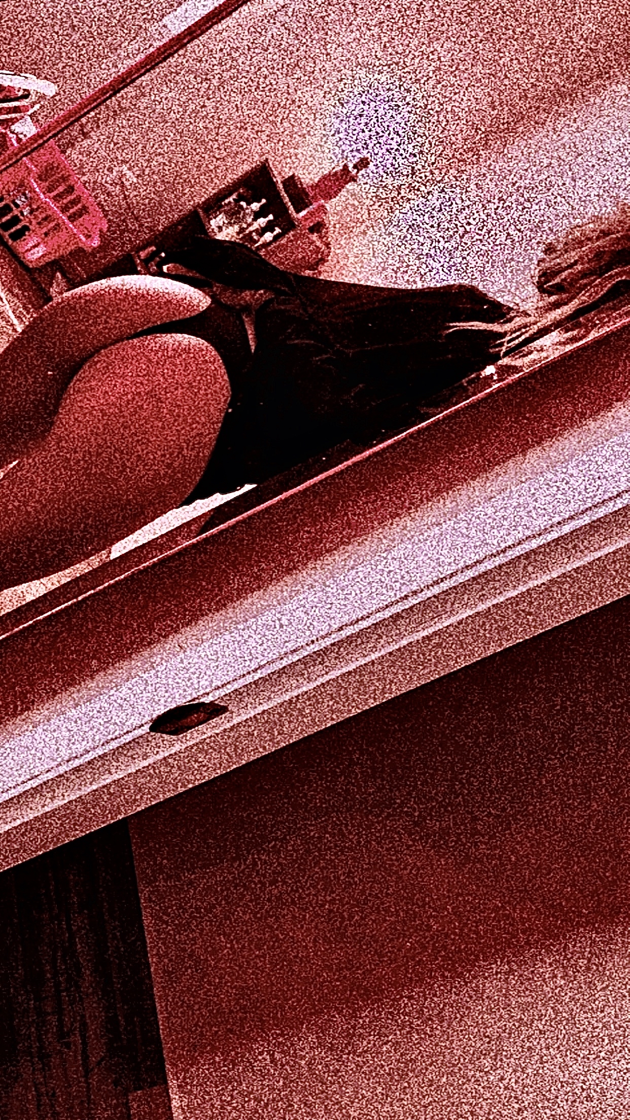 Snapchat-571188333.jpg