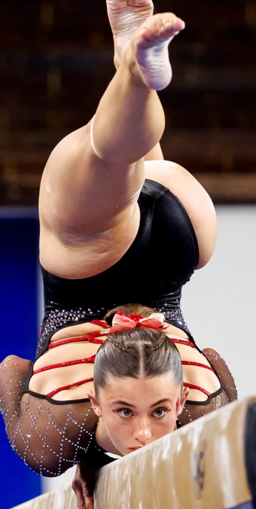 marylands-maddie-komoroski-v0-iev69ndy7dvg1.webp