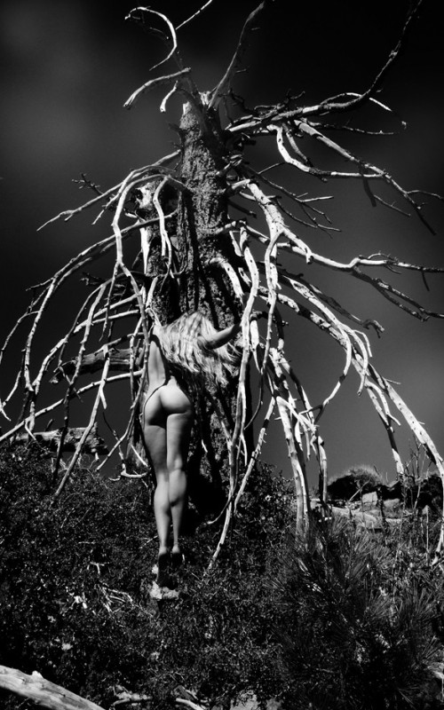 justblendsin_by_jordanbunniie_d50hndi-fullviewcd146a1f7140a982.jpg