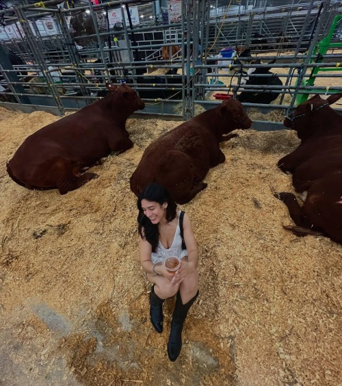 lucilaerickson 1739131563 3564416355887657812 270041354