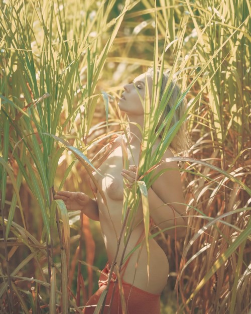 male pixel 14 scaled