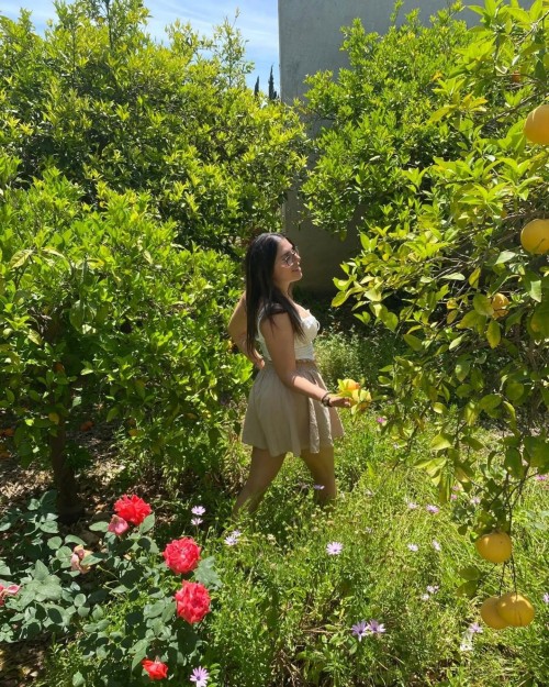 marisa.vanhealthy 1715746854 3368251202381169682 5663660759