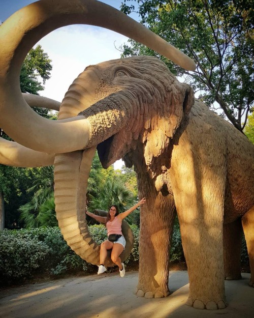 marisa.vanhealthy 67832859 2369759556612428 8732588321591513385 n