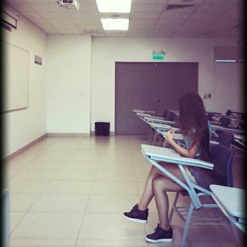 nicodayii 1490846636 1481651435417502661 4913738463