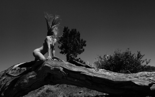 pullsmebythehair_by_jordanbunniie_d50hnlm-fullviewc12968aa74ce1555.jpg