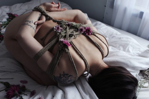 tumblr_nkwlh8Xtxm1qzvfspo1_1280514e3b44b7409a28.jpg