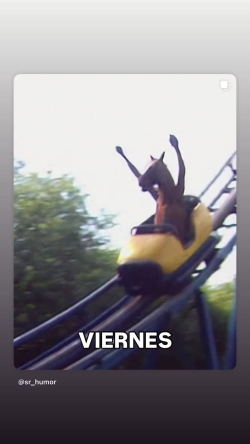 veronicaboyerv_1751031338_1760102477df2a7311cc63d587.mp4