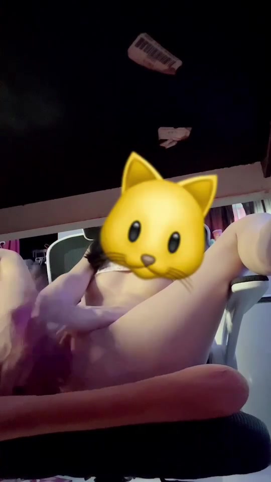 VID_20260221_115847_985.mp4
