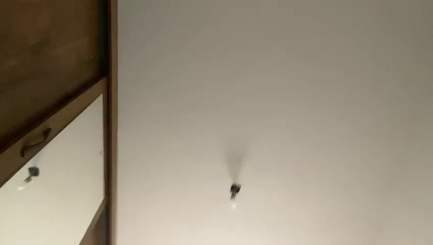 VID_20260805_210920_954.mp4
