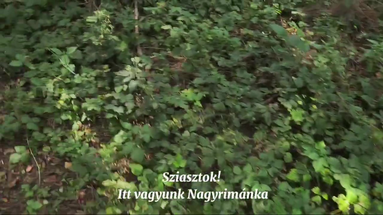 bX3egNGBxuEzWgDK.mp4