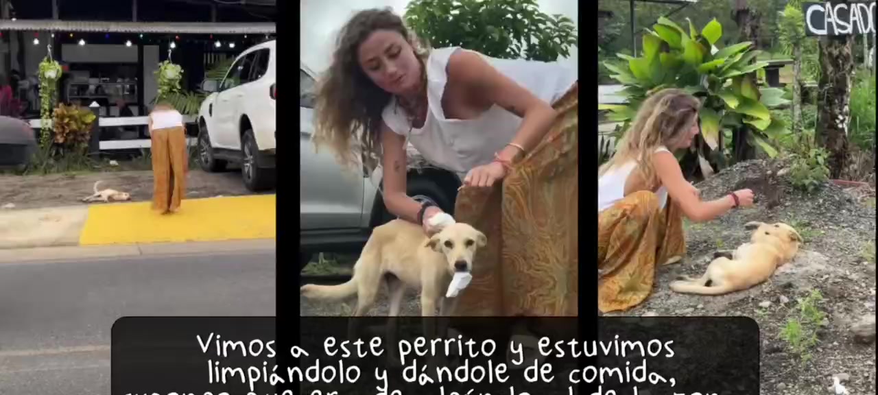 document_5915899421073085419.mp4