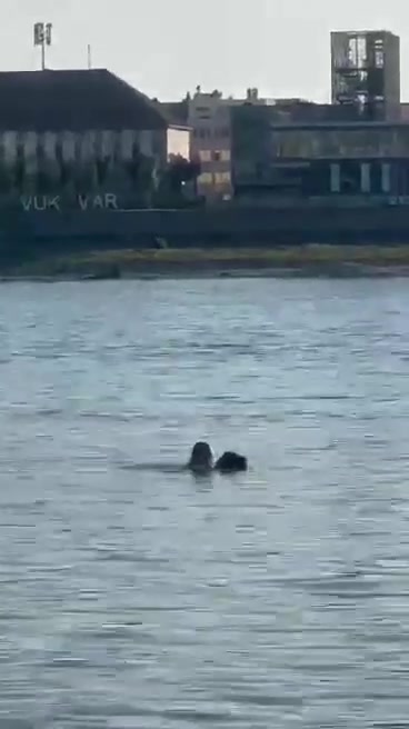 received_3953006098338186.mp4