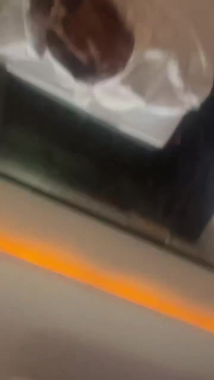 ssstwitter.com_1782709561472.mp4