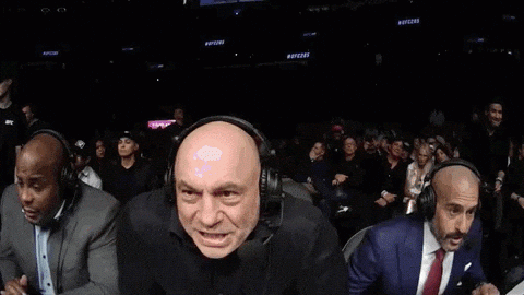 wow-ufc-giphy.gif